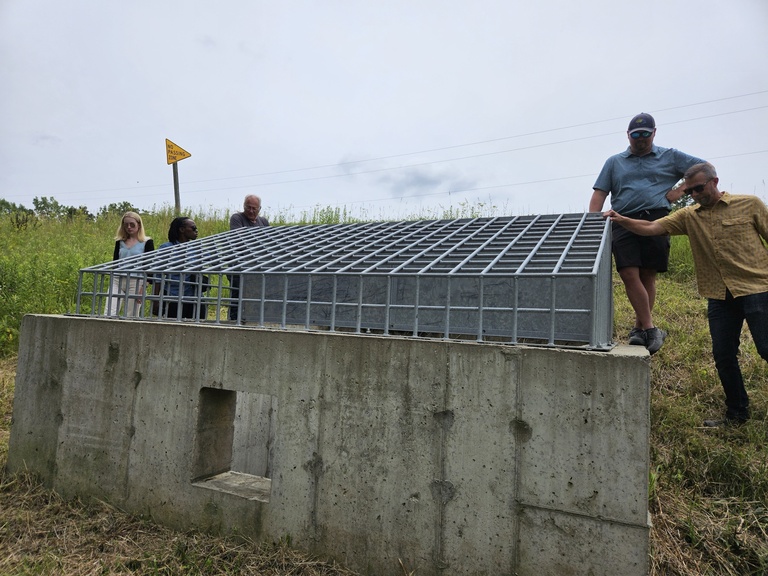 People viewing on road structure. 