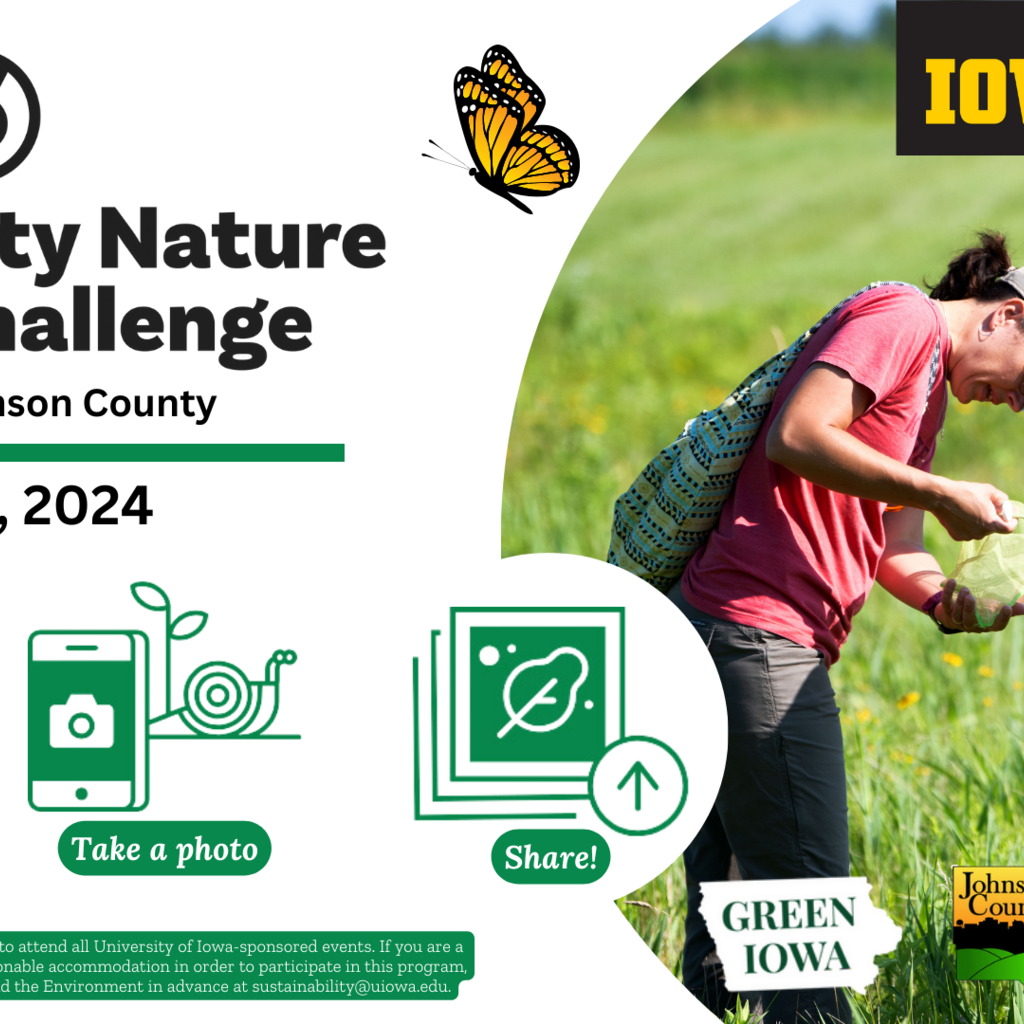 City Nature Challenge promotional image