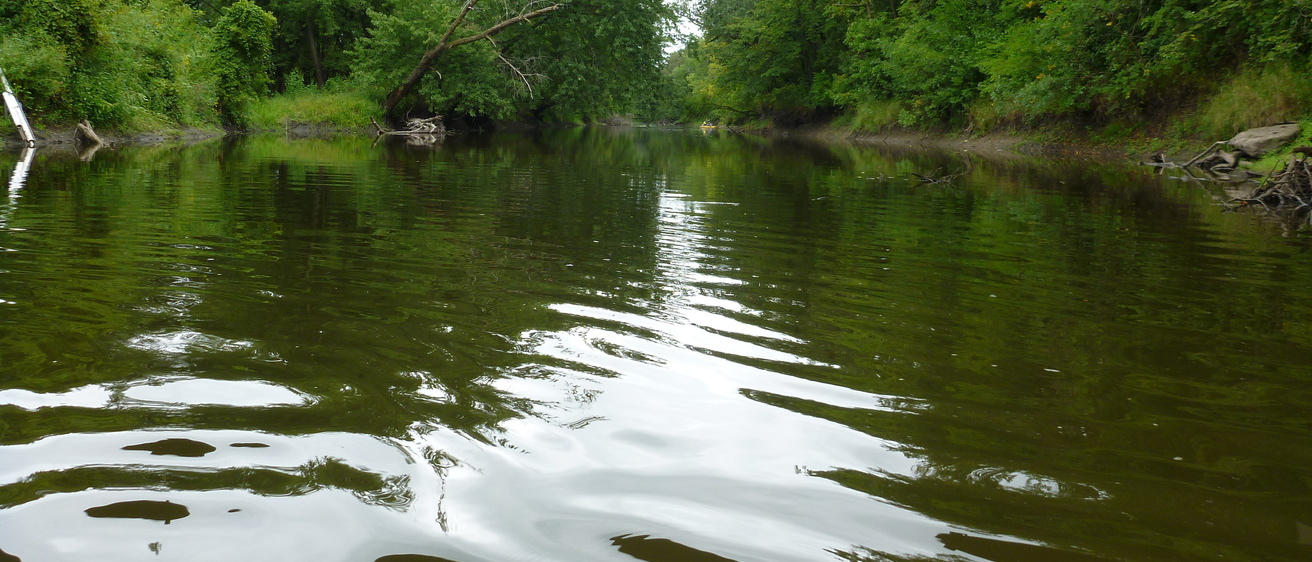 Closeup view of waves on a river with green leafy trees on either bank