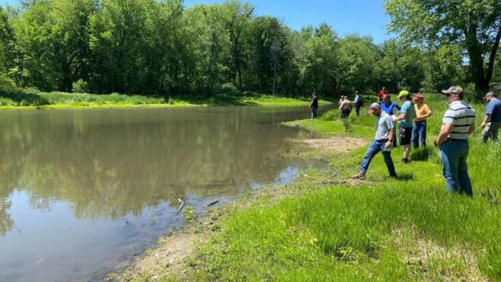 A tour group looks at a reconstructed oxbow wetland